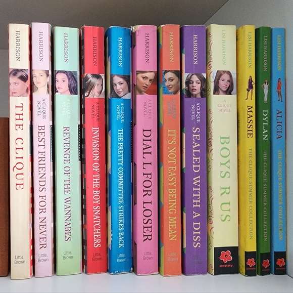 Other - The Clique book series bundle